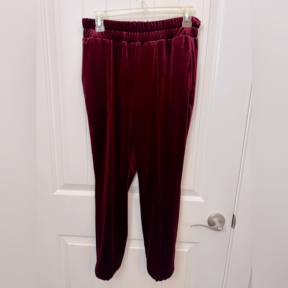 Plush Burgundy Velvet Pants. Petite small - Picture 1 of 5